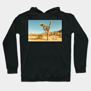 Southwest Desert Hoodie